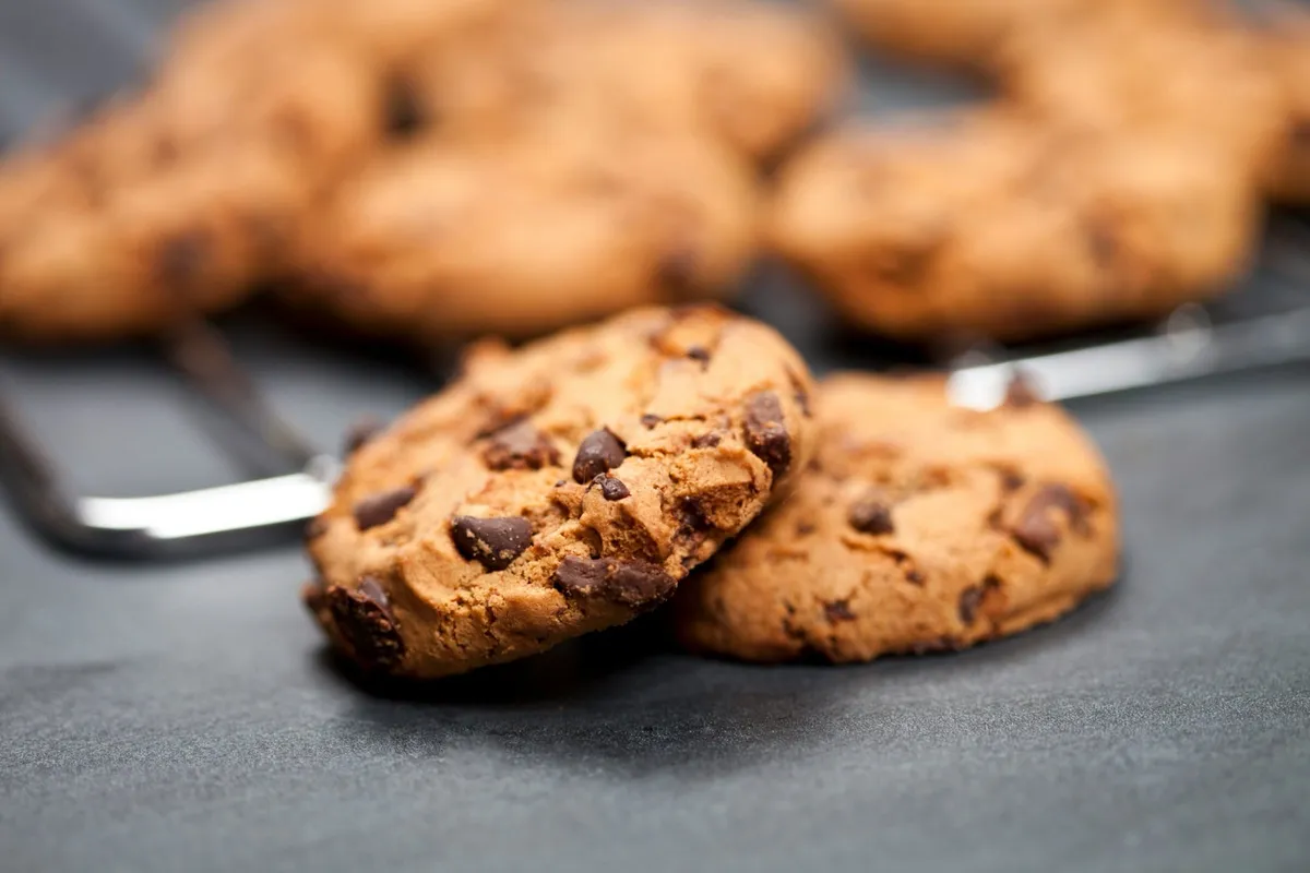 Does Your Website Need a Privacy Policy and Cookie Consent Notice?