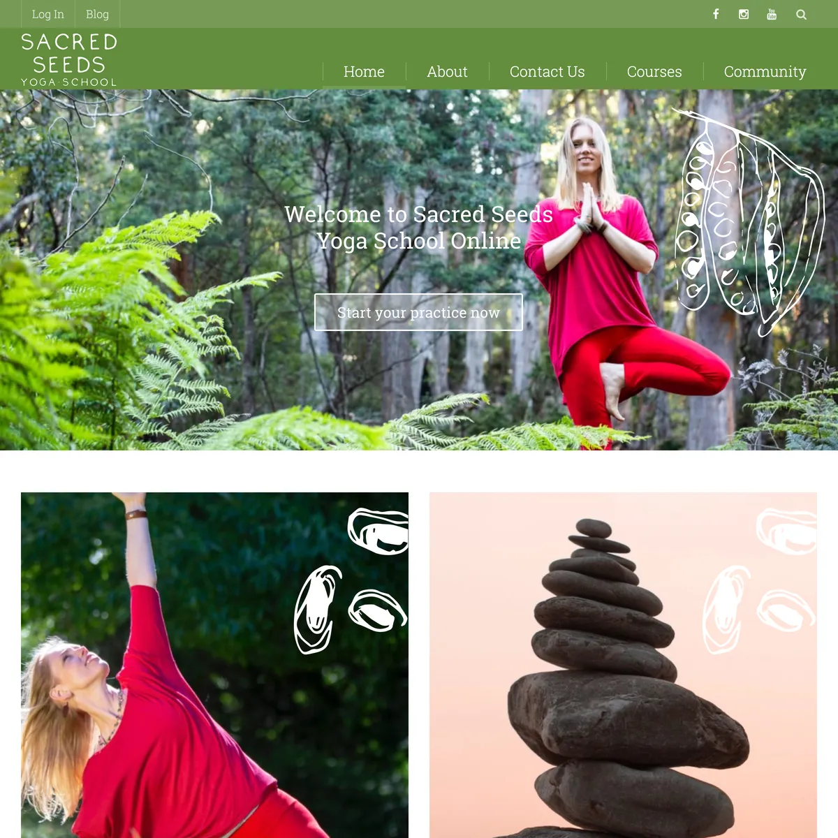 Sacred Seeds Yoga School
