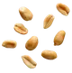 Peanuts