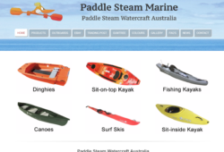 Paddlesteam